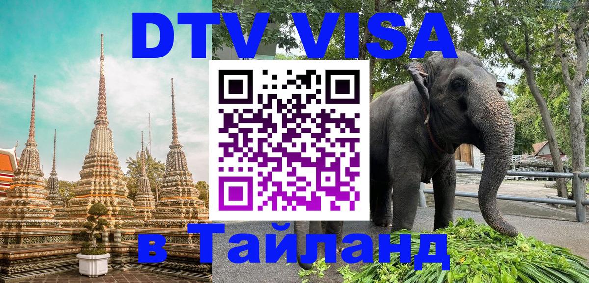 Как сделать DTV визу в Тайланд 